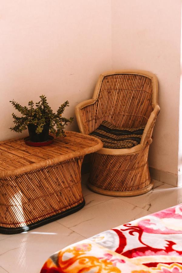 Cocoon Auberge Jaipur Ngoại thất bức ảnh