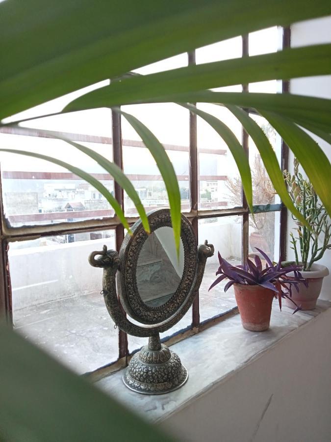 Cocoon Auberge Jaipur Ngoại thất bức ảnh
