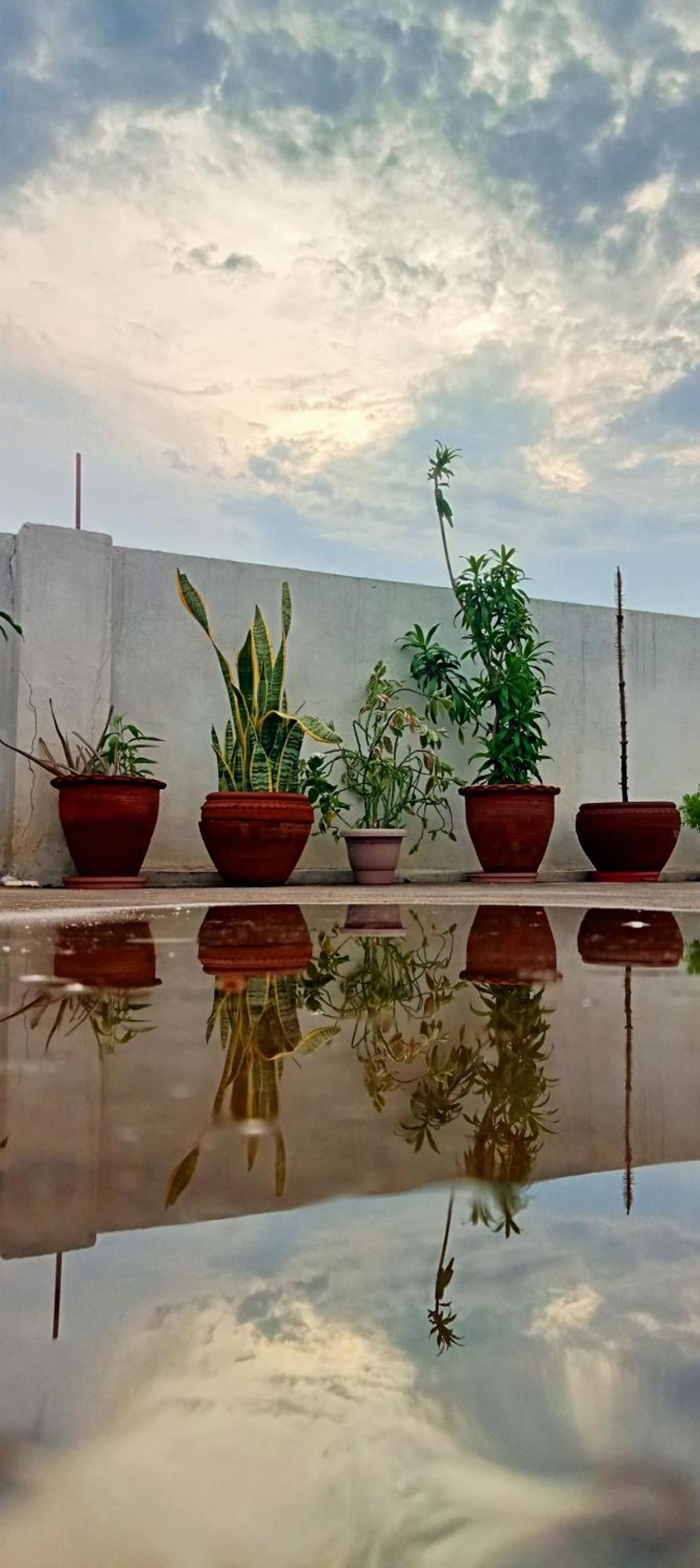 Cocoon Auberge Jaipur Ngoại thất bức ảnh