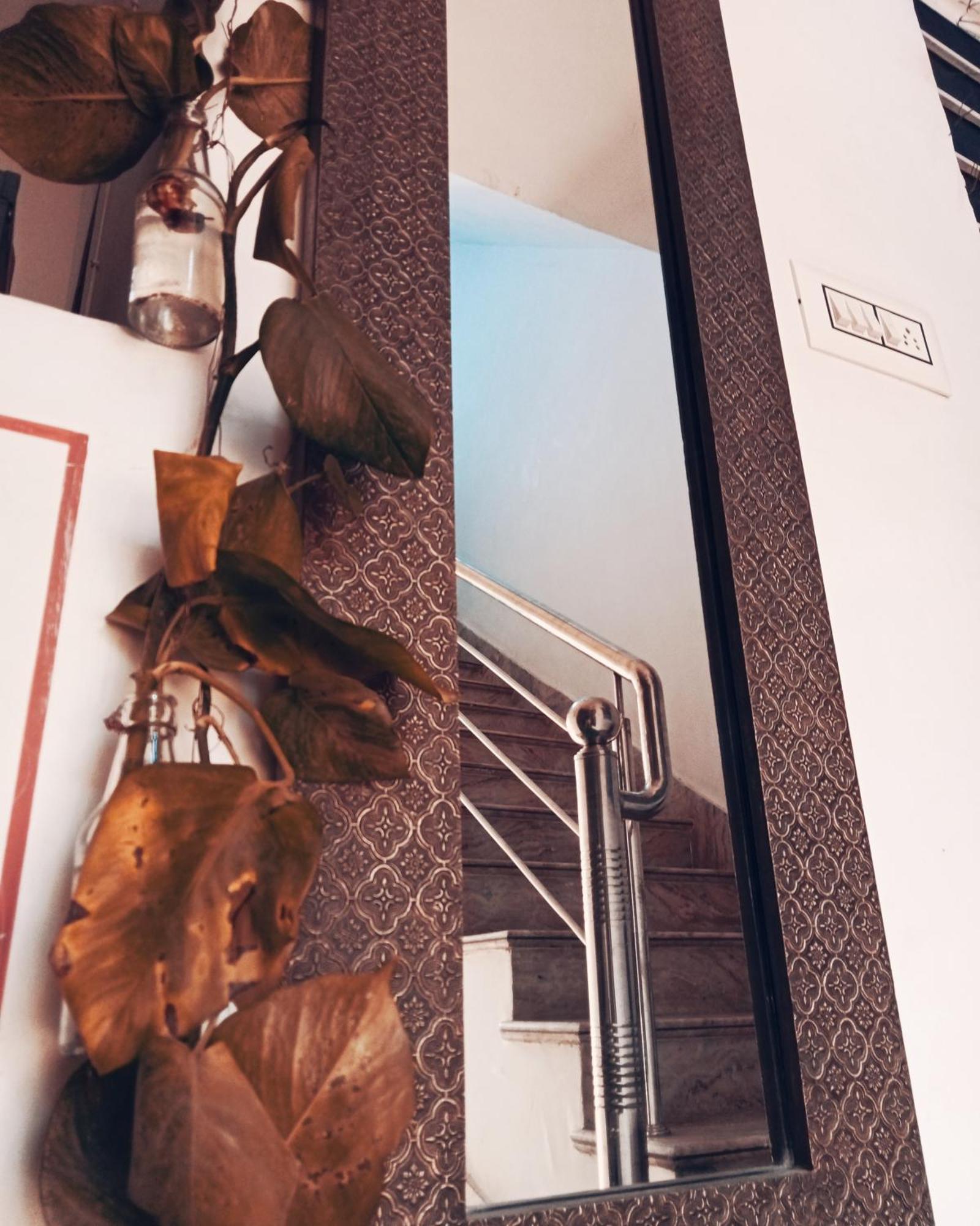 Cocoon Auberge Jaipur Ngoại thất bức ảnh